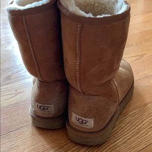 Women’s Classic Ugg Boots